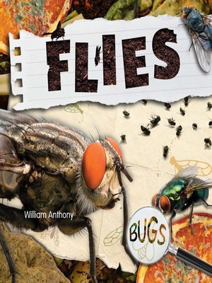 cover image of Flies